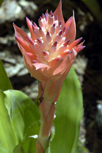 Digital Photo