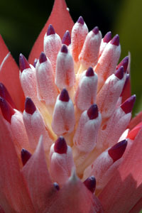 Digital Photo