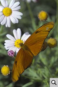 Digital Photo