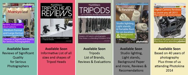 Available Reports