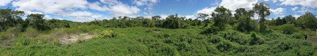Pixel-Pano-yaxha-Juan-Pablo-Fumagalli