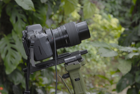 Mamfrotto Rail to Focus