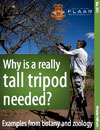Why is really a tall tripod needed? Examples from botany and zoology