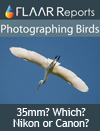 Photographing birds nature photography Canon EOS 1Ds Mark III digital camera evaluation reviews tests results price comparison