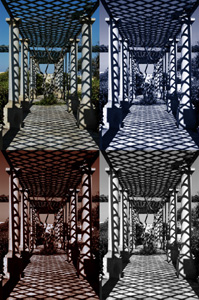Sample of NIK software and Photoshop
