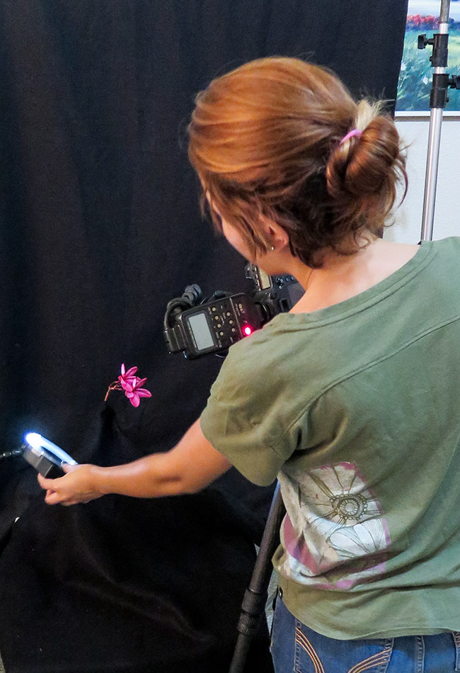 Balcar Digital lighting